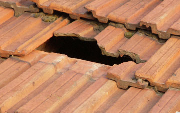 roof repair Kingweston, Somerset
