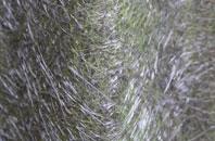 Kingweston fibreglass roof work